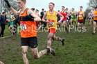 Senior boys 2019 New Balance English Schools Cross Country Champs, Temple Newsam, Leeds. Photo:  David T. Hewitson/Sports for All Pics